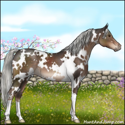 Horse Color:White Spotted Liver Chestnut Mushroom 