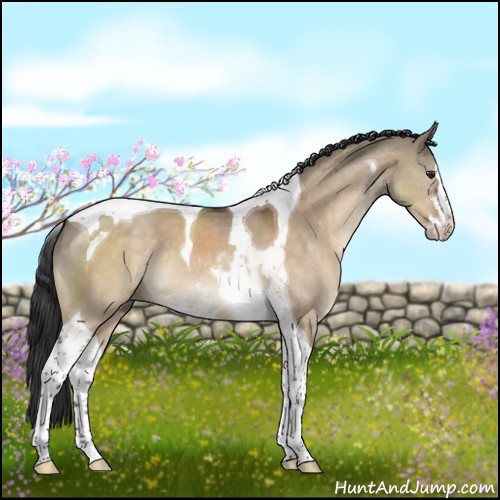 Horse Color:Brown Dun Sabino Tobiano 