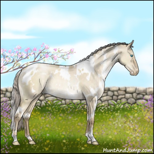 Horse Color:White Spotted Chocolate Palomino Pearl Dun 