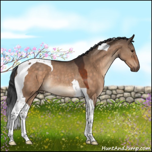 Horse Color:Brown Dun Tobiano Rabicano 