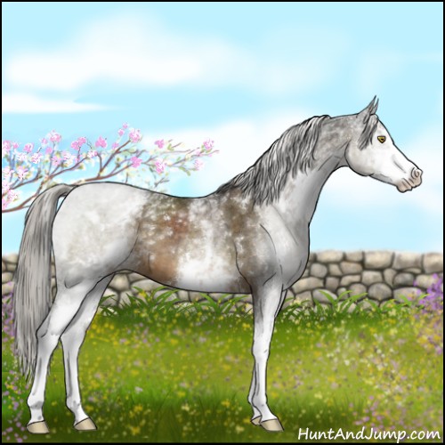 Horse Color:White Spotted Chocolate Palomino Mushroom Sabino 