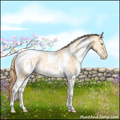 Horse Color:White Spotted Buckskin Pearl Dun Tobiano 
