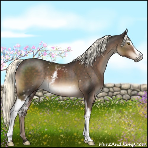Horse Color:White Spotted Liver Chestnut Mushroom 