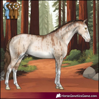 Horse Color:Brown Pearl Dun Sabino Brindle 