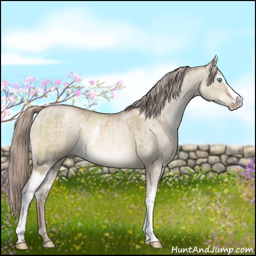 Horse Color:White Spotted Chocolate Palomino Pearl Dun Mushroom Brindle 