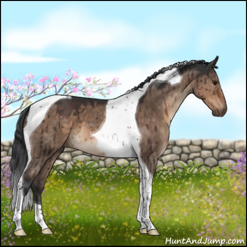Horse Color:Brown Dun Sabino Tobiano Brindle 