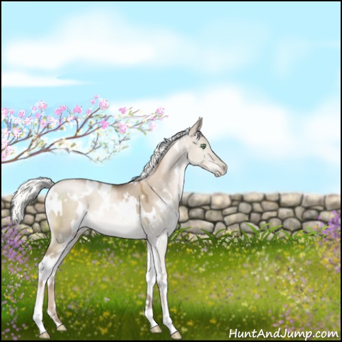 Horse Color:White Spotted Liver Red Dun Pearl Mushroom 