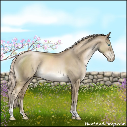 Horse Color:Chocolate Palomino Pearl 