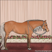 Horse Color:Silver Bay Appaloosa 