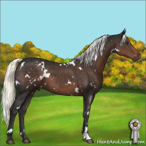 Horse Color:White Spotted Liver Chestnut Mushroom 