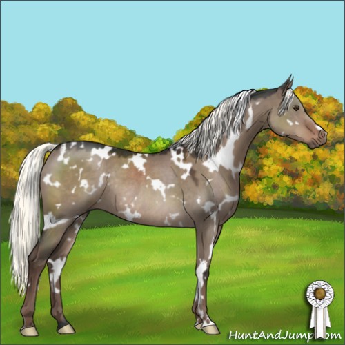 Horse Color:White Spotted Liver Red Dun Mushroom Rabicano 