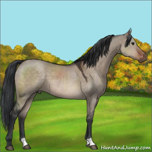 Horse Color:Brown Dun Mushroom 