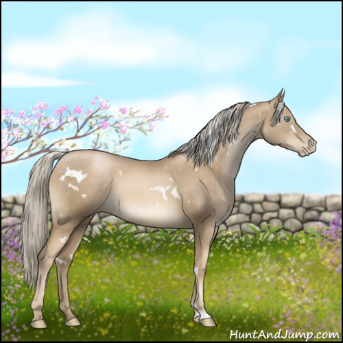 Horse Color:White Spotted Chocolate Palomino Pearl Rabicano 