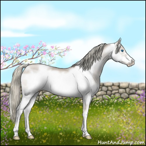 Horse Color:White Spotted Liver Red Dun Pearl Mushroom Sabino Splash Frame Appaloosa Rabicano 