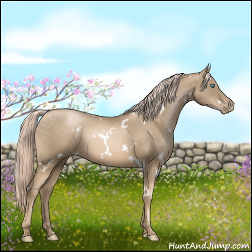 Horse Color:White Spotted Chocolate Palomino Pearl 