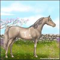 Horse Color:White Spotted Chocolate Palomino Pearl 