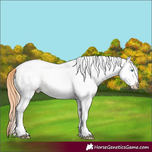 Horse Color:White Spotted Amber Champagne Pearl