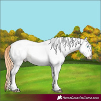 Horse Color:White Spotted Amber Champagne Pearl 