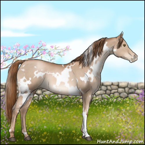 Horse Color:White Spotted Liver Chestnut Pearl 