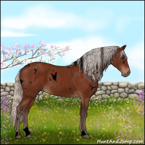 Horse Color:Void White Spotted Silver Bay 