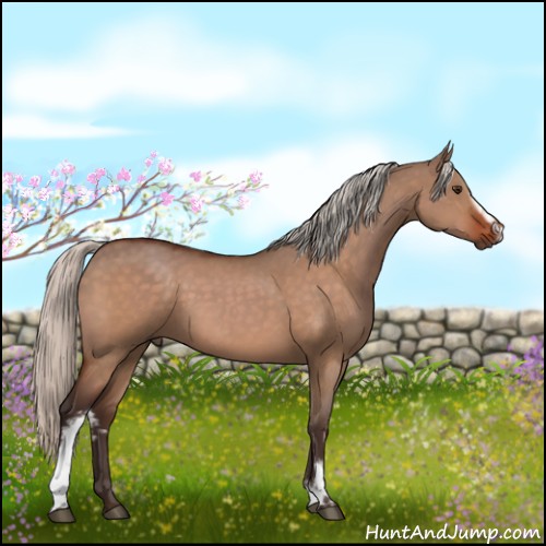 Horse Color:White Spotted Silver Brown Dun Rabicano 