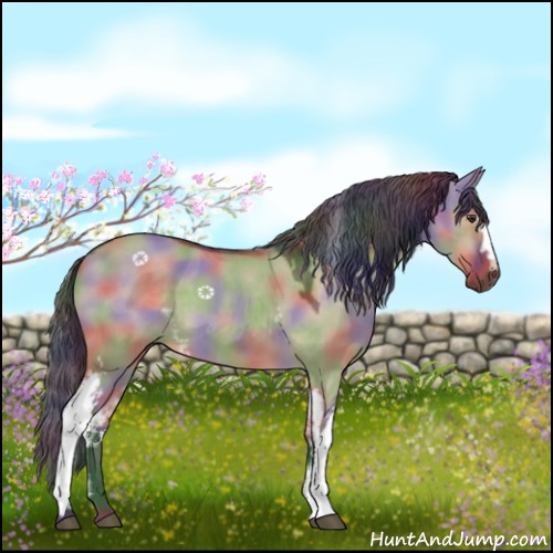 Horse Color:Nacre White Spotted Liver Red Dun 