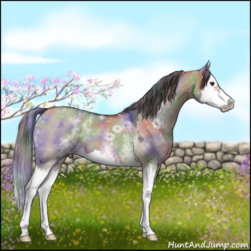 Horse Color:Nacre White Spotted Liver Red Dun Splash Rabicano 