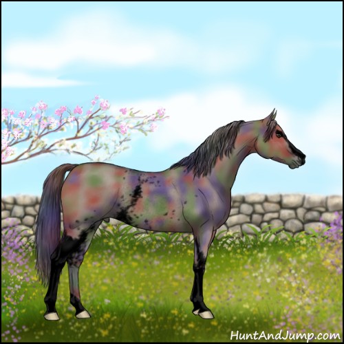 Horse Color:Void Nacre White Spotted Liver Red Dun Rabicano 