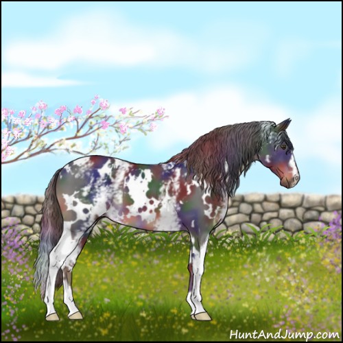 Horse Color:Nacre White Spotted Liver Chestnut 