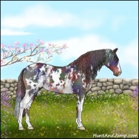 Horse Color:Nacre White Spotted Liver Chestnut 