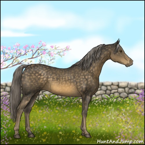 Horse Color:Chocolate Palomino Mushroom 