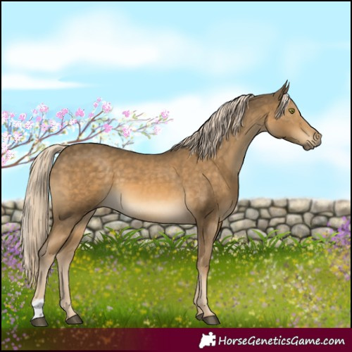 Horse Color:Chocolate Palomino Mushroom 