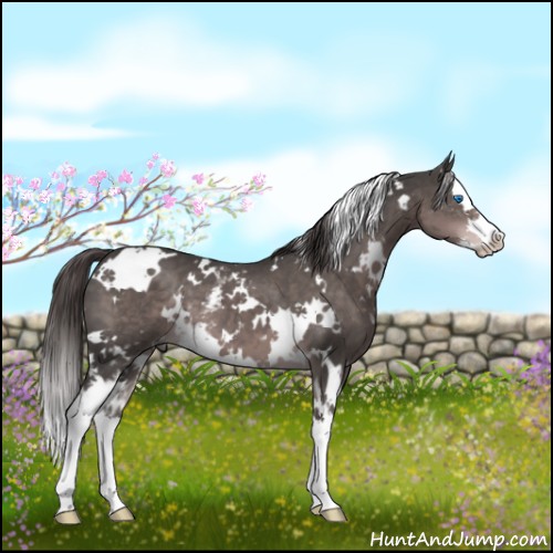 Horse Color:Platinum White Spotted Liver Chestnut Splash 