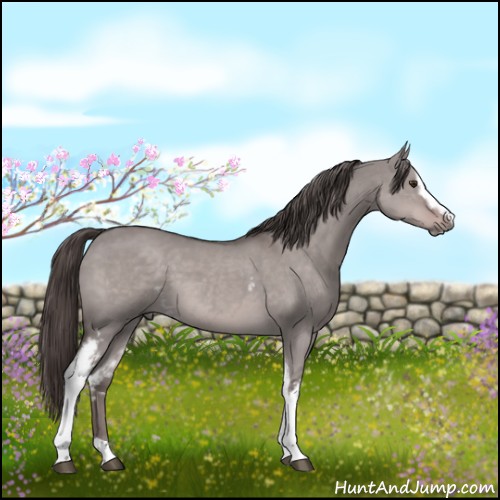 Horse Color:Platinum White Spotted Liver Red Dun Sabino 