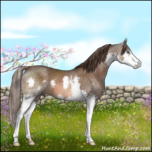 Horse Color:White Spotted Liver Chestnut Splash 