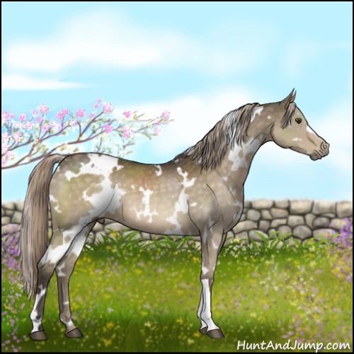Horse Color:White Spotted Chocolate Palomino Mushroom 