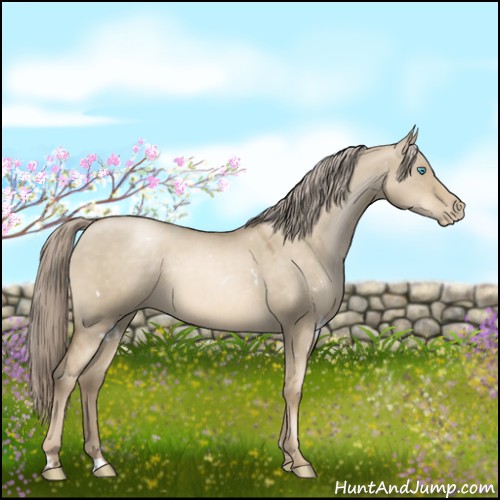 Horse Color:White Spotted Chocolate Palomino Pearl Dun