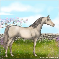 Horse Color:White Spotted Chocolate Palomino Pearl Dun 