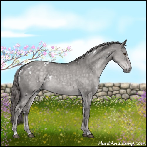 Horse Color:Platinum White Spotted Chocolate Palomino Dun 