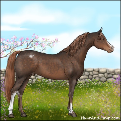 Horse Color:White Spotted Liver Chestnut Varnish 