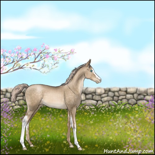 Horse Color:White Spotted Chocolate Palomino Pearl Sabino 