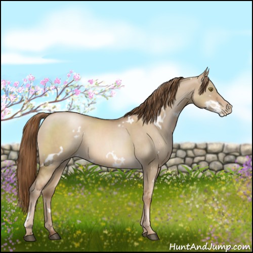 Horse Color:White Spotted Liver Red Dun Pearl 