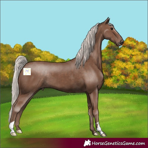 Horse Color:Silver Black 
