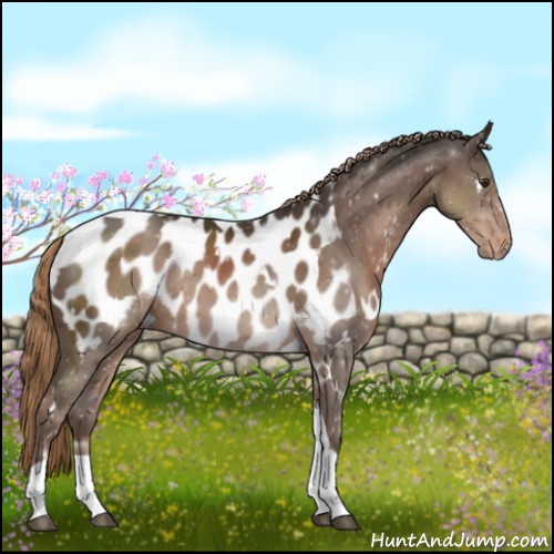 Horse Color:White Spotted Liver Chestnut Tobiano Appaloosa Rabicano 
