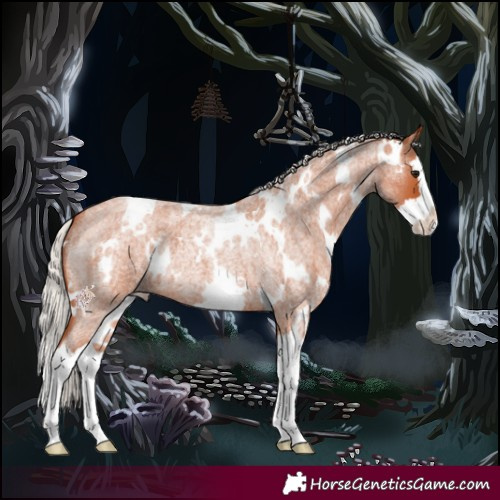 Horse Color:White Spotted Silver Bay Roan Splash