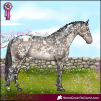 Horse Color:White Spotted Brown Dun Appaloosa 