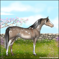 Horse Color:White Spotted Liver Red Dun Varnish 