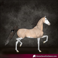 Horse Color:Bay Roan Dun Splash 