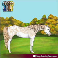 Horse Color:Sable Cream Champagne Dun Splash Blanket 