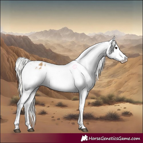 Horse Color:Silver Buckskin Varnish Rabicano 